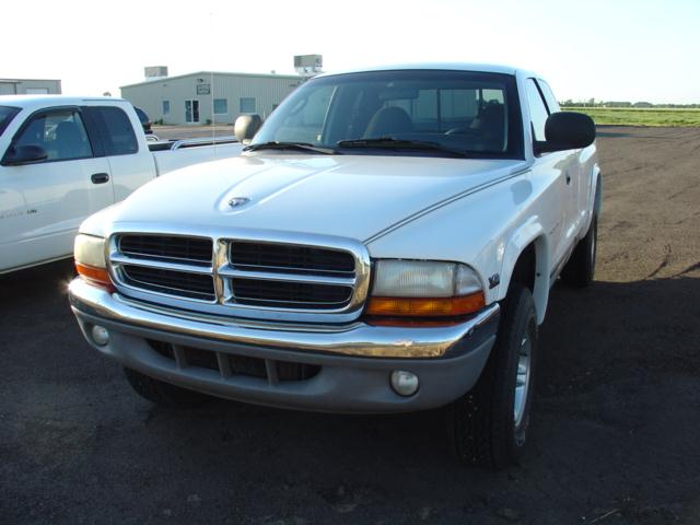 1999 Dodge Dakota for sale