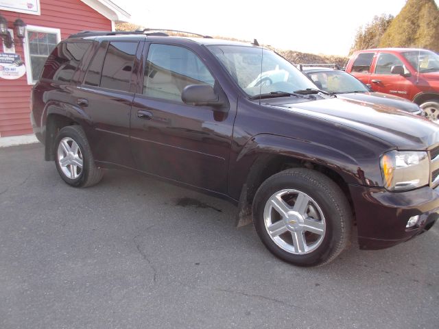 2009 Chevrolet TrailBlazer