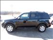 2010 Mercury Mariner
