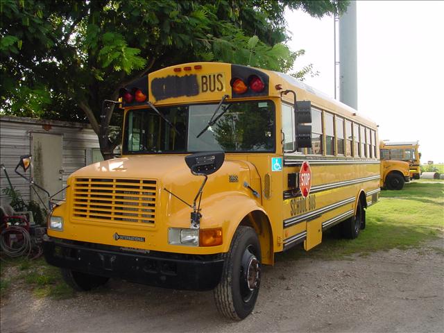1998 International  BlueBird for sale