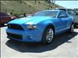 2010 Ford Mustang Shelby GT500