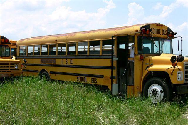 1987 INTERNATIONAL THOMAS for sale