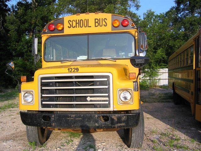 1987 INTERNATIONAL CROWN for sale