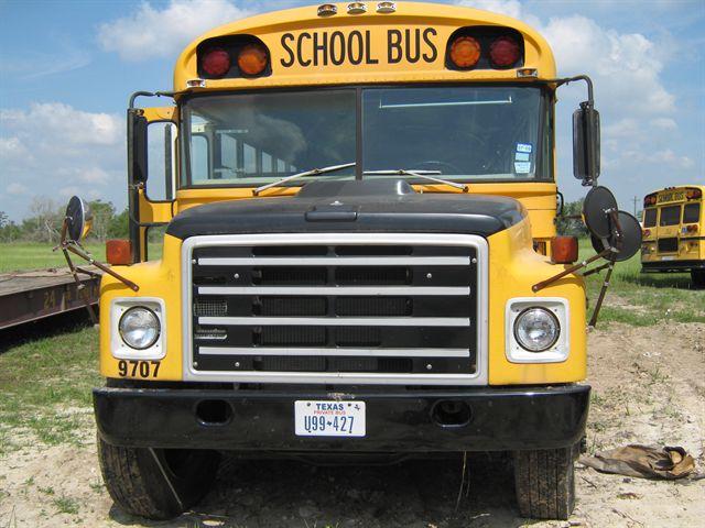 1984 INTERNATIONAL BLUEBIRD for sale