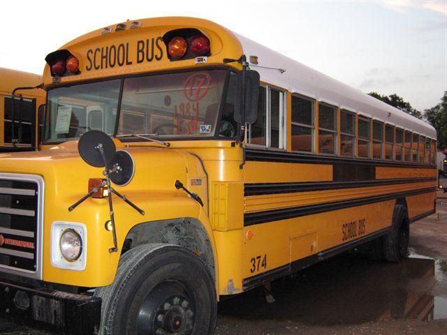 1983 INTERNATIONAL BLUEBIRD for sale