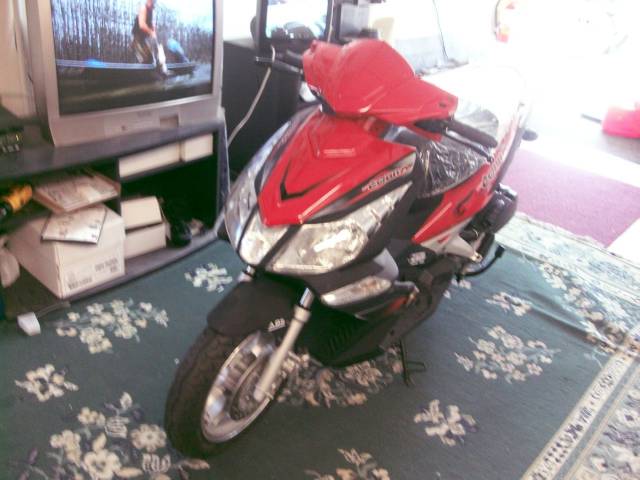 2010 waygne  cobra for sale