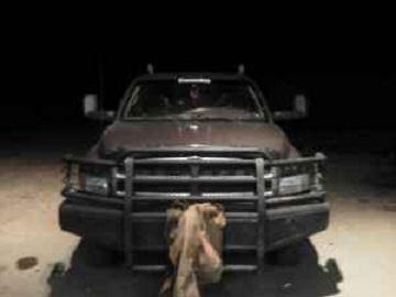 2001 Dodge 300 for sale