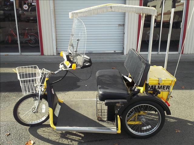 2000 Palmer Twosome for sale