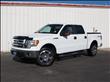2009 Ford F150