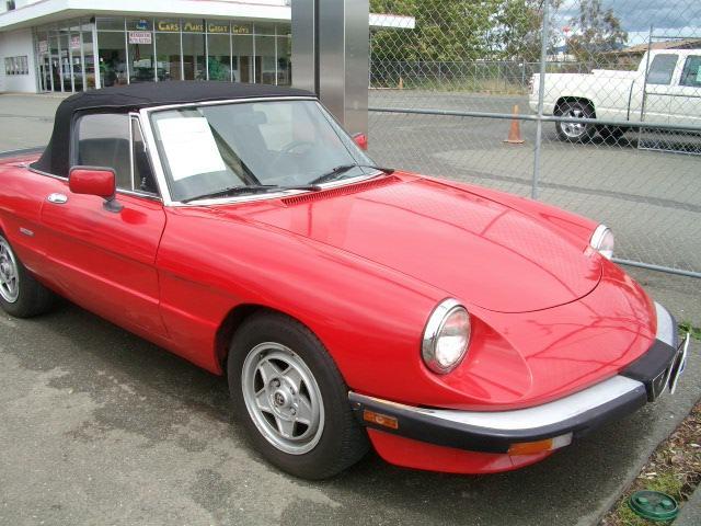 1986 Alfa Romeo Spider