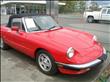1986 Alfa Romeo Spider
