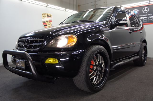 2002 Mercedes-Benz M-Class for sale