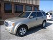 2010 Ford Escape