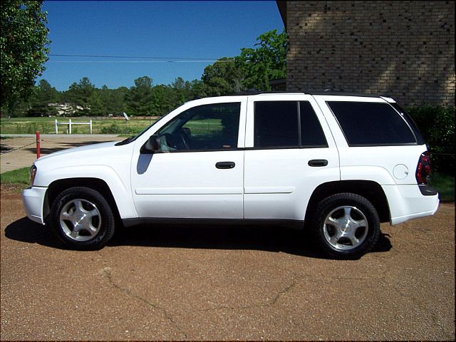 2007 Chevrolet TrailBlazer for sale