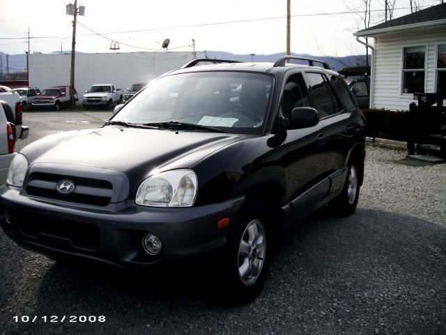 2006 Hyundai Santa Fe for sale