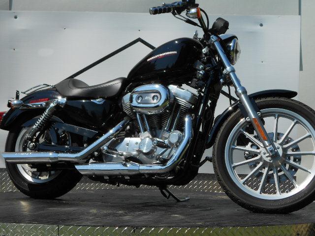 2006 Harley Davidson 883 -Financing Available NOW! for sale