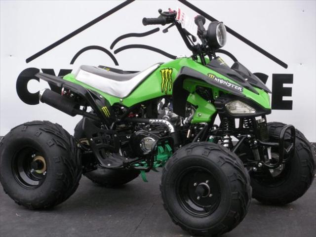 2011 ATV for Kids  TAOTAO 125cc  for sale