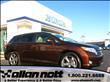 2009 Toyota Venza