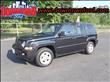 2009 Jeep Patriot