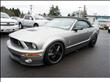 2009 Ford Mustang Shelby GT500