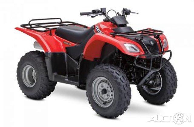 2012 Suzuki Ozark for sale