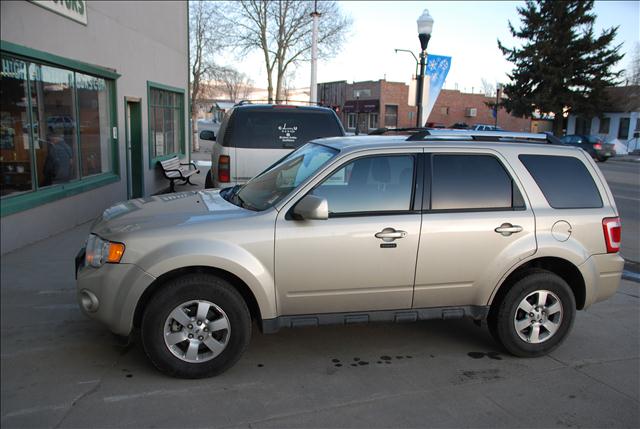 2010 Ford Escape for sale