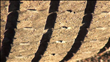 Click to enlarge