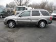 2006 Buick Rainier