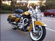 2008 Harley Davidson Screaming Eagle