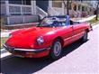 1985 Alfa Romeo Spider