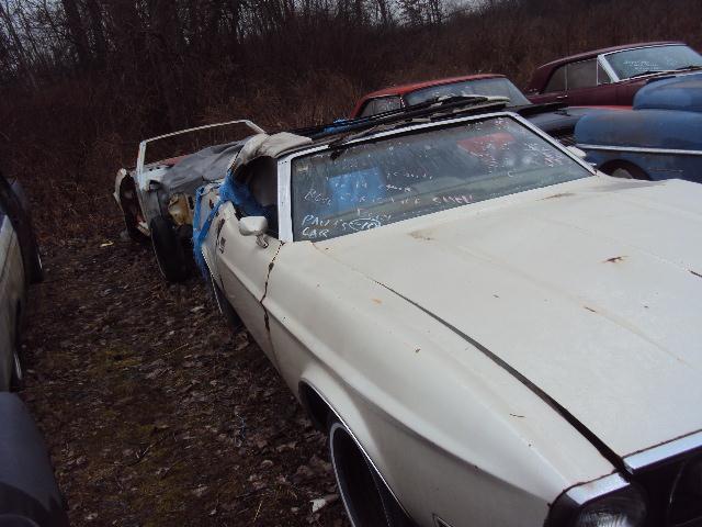 1971 Ford Mustang for sale