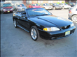 1998 Ford Mustang
