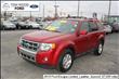 2010 Ford Escape