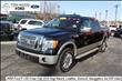 2009 Ford F150