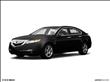 2009 Acura TL